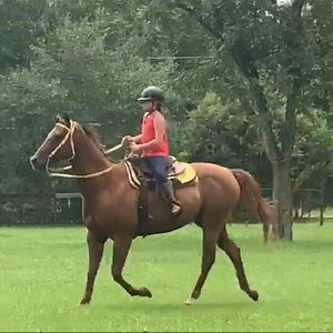 Meet your Posher, Mckinley